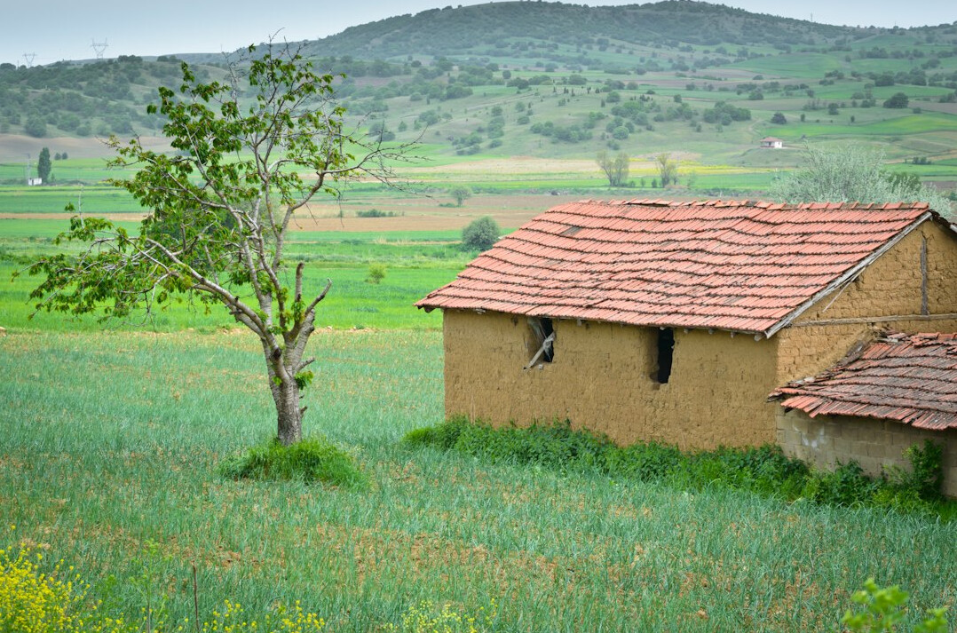 urban vs rural life