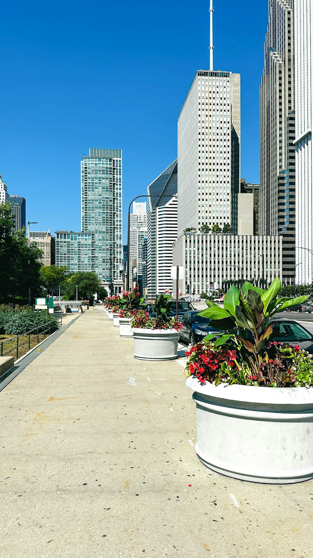 urban green space